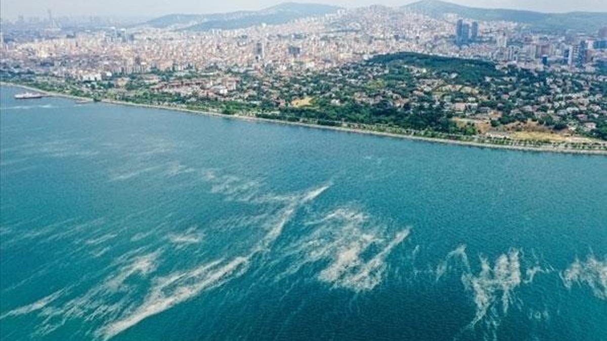 Müsilaj için "kod" yazdılar! Yayılması...