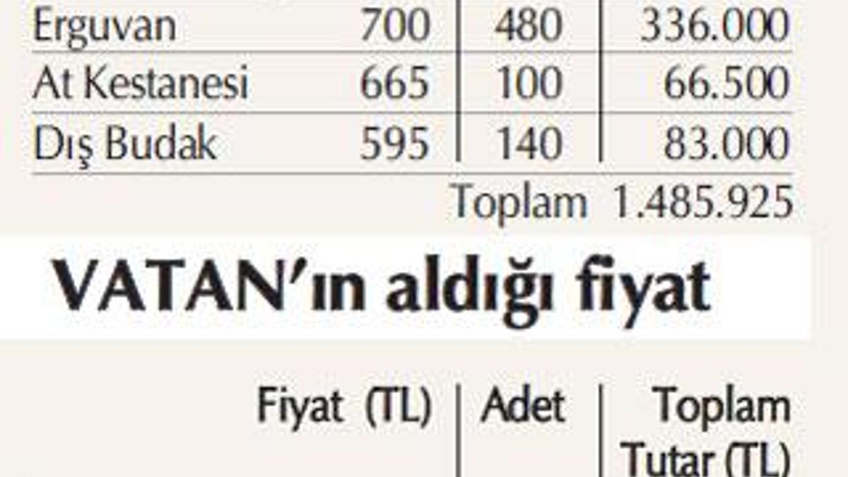 İhale ‘zakkum’ oldu