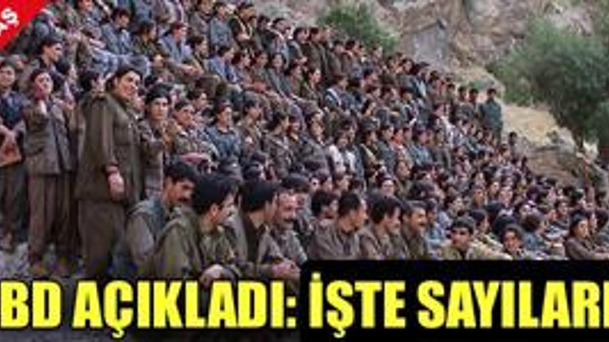 Suriye sınırında tank tatbikatı