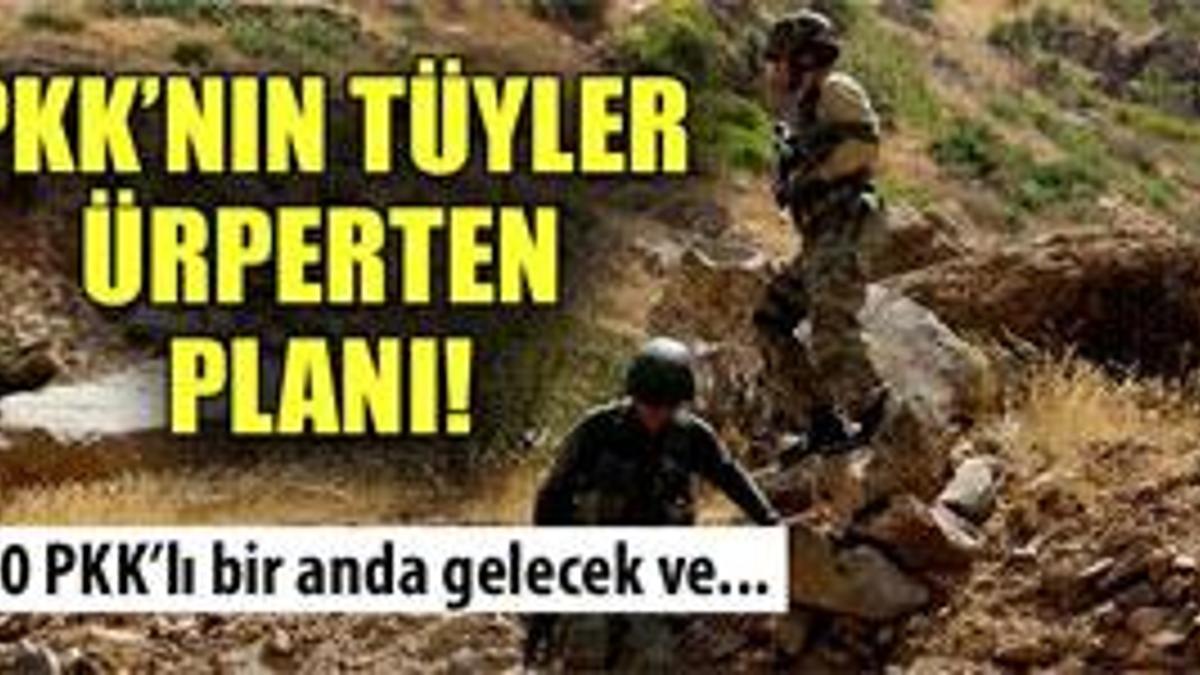 PKK cephaneliği ele geçti!