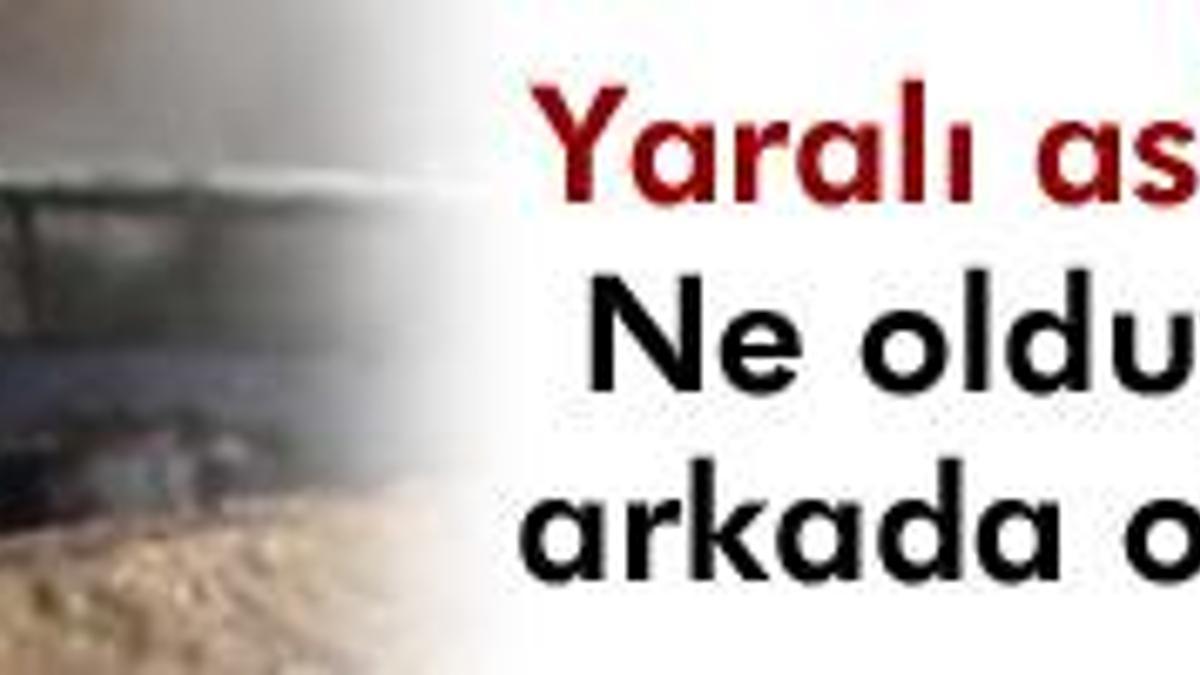 'Torunumu koyun sürer gibi...'