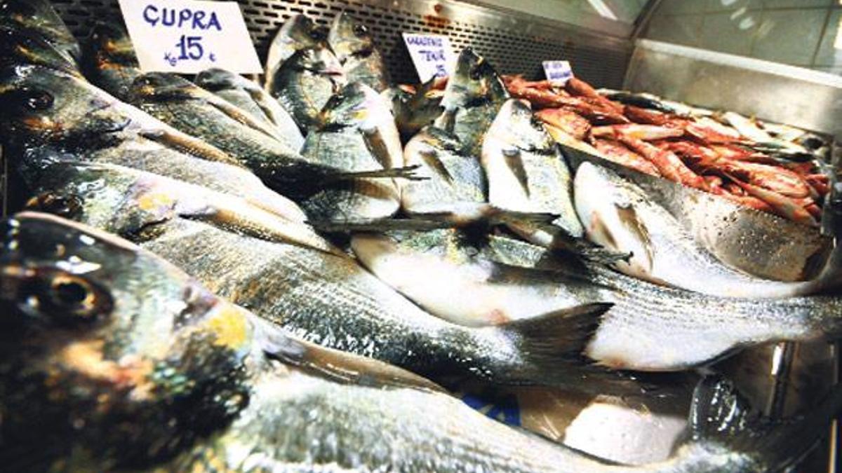 Tuna’dan zehir akıyor!