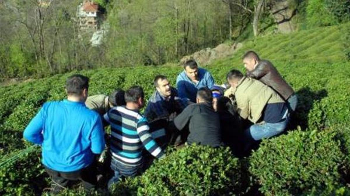 Bu kareden sonra...