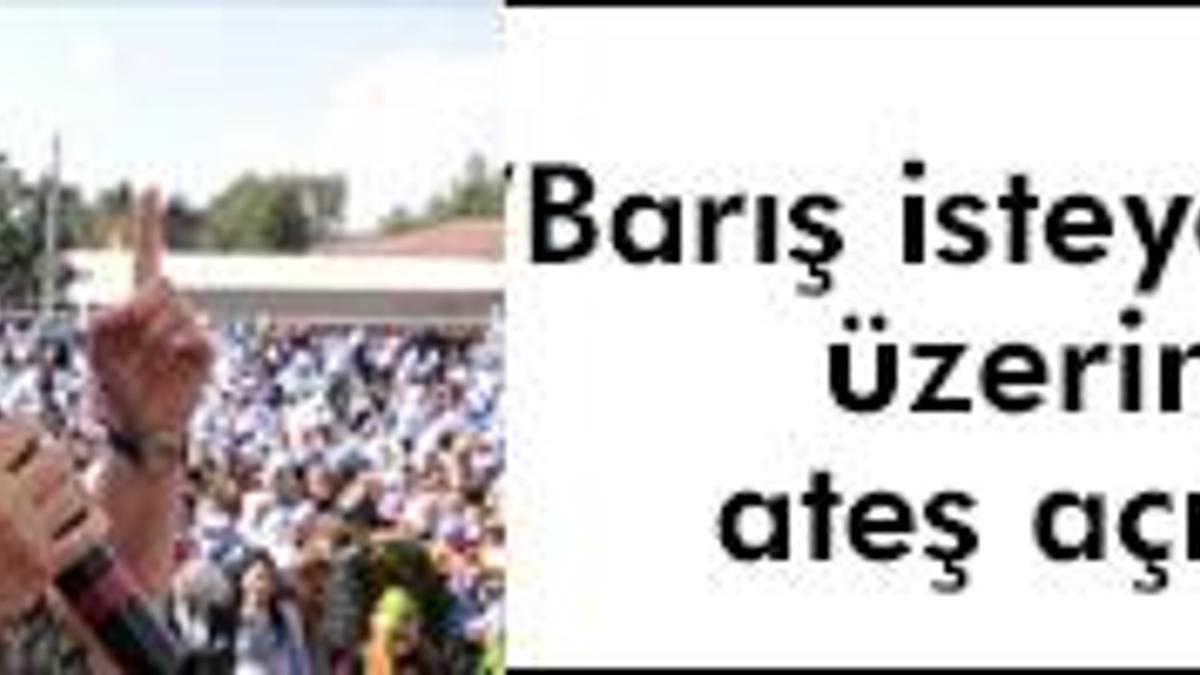 'Gezi Parkı'nın Kürt versiyonu'