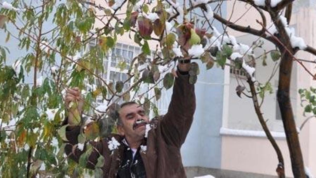 Karla kaplı ağaç görenleri şaşırttı!