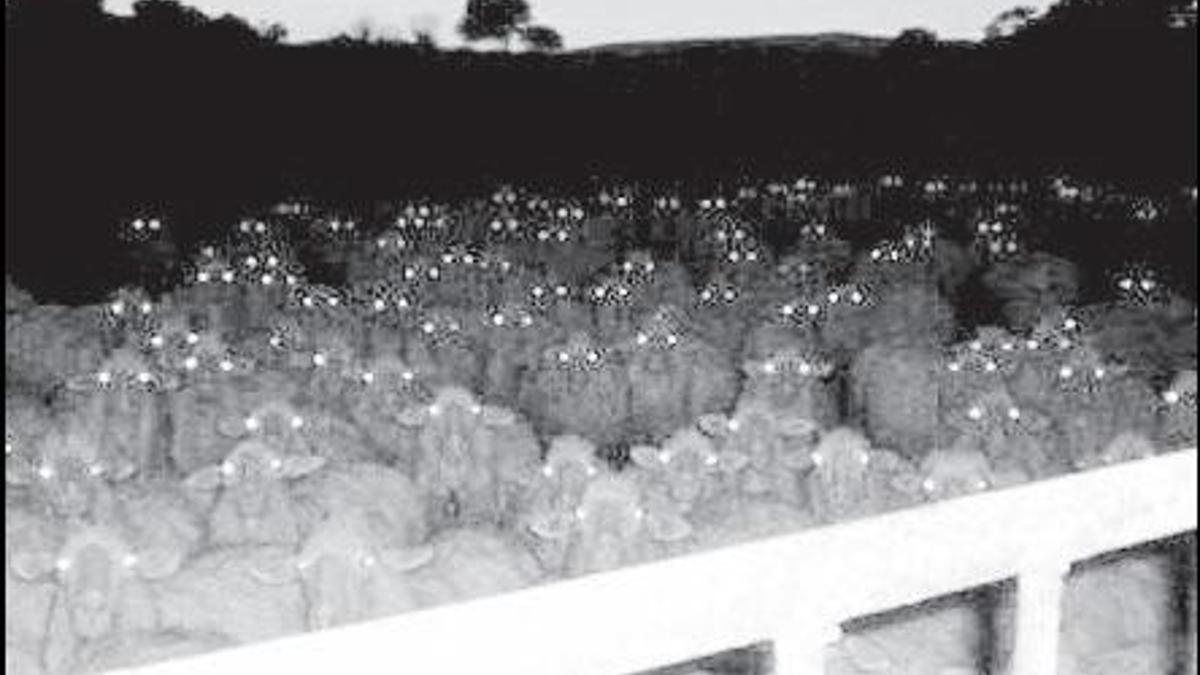 En kısa köşe yazısı!