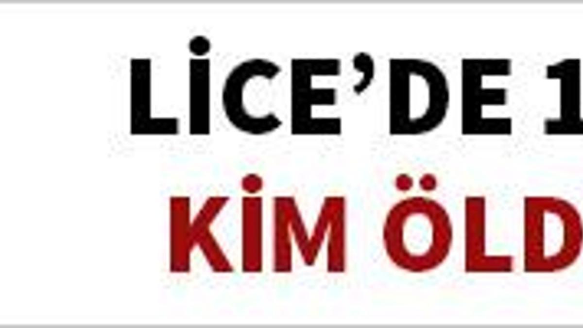 Lice davası 20 yıl sonra tekrar başladı
