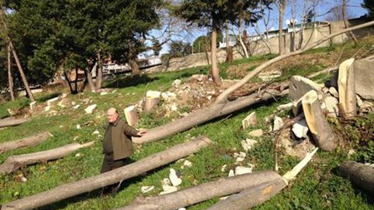 'Ağaçlar güvenliğe tehdit' deyip kestiler