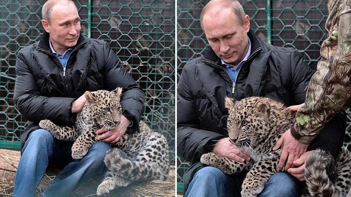 Putin kafese girdi!