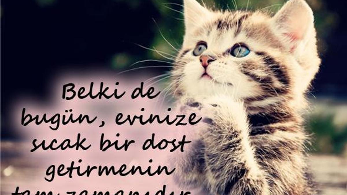 Bugün onların günü!