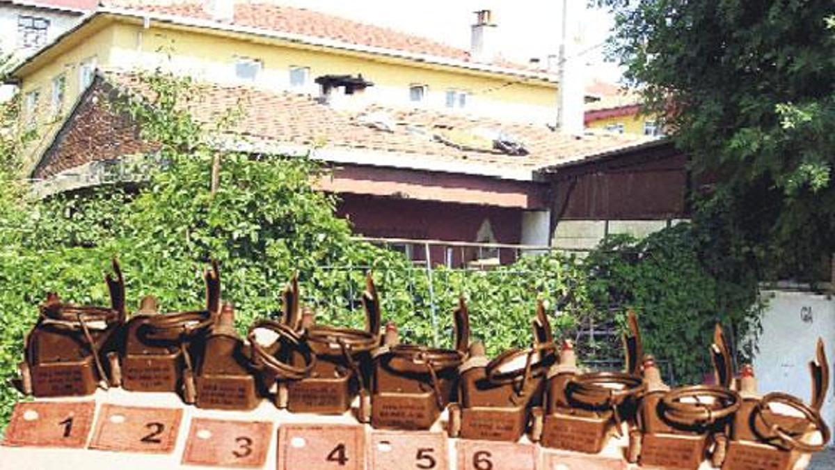‘Başbuğ terörist değil terör suçlusu’