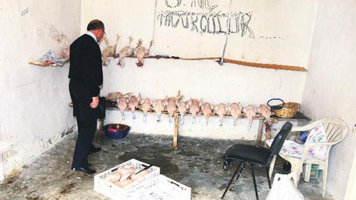 Tavuk, tavuk olalı böyle tesis görmedi