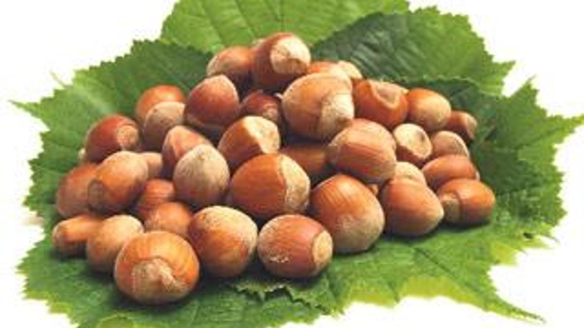 Çay bile kurudu