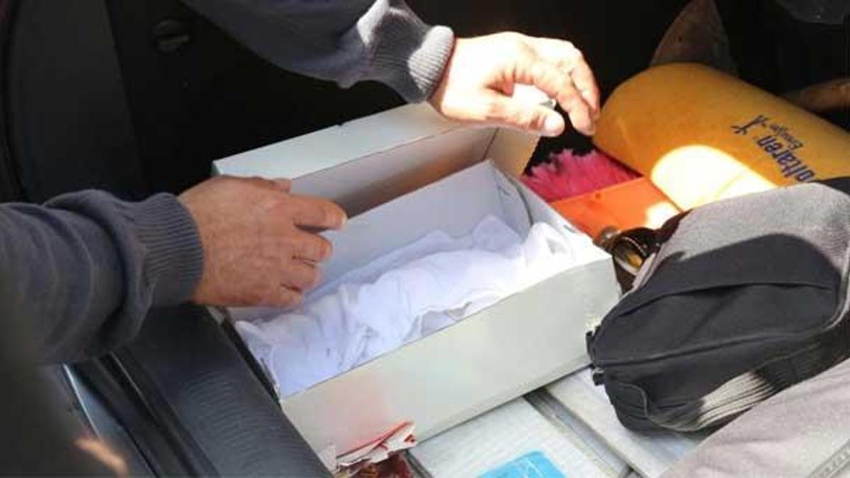 Kahreden görüntü! Ayakkabı kutusunda...