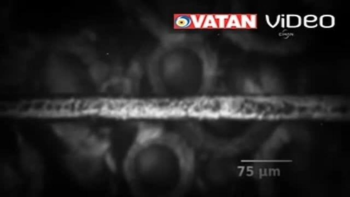 Bunu da yaptılar!