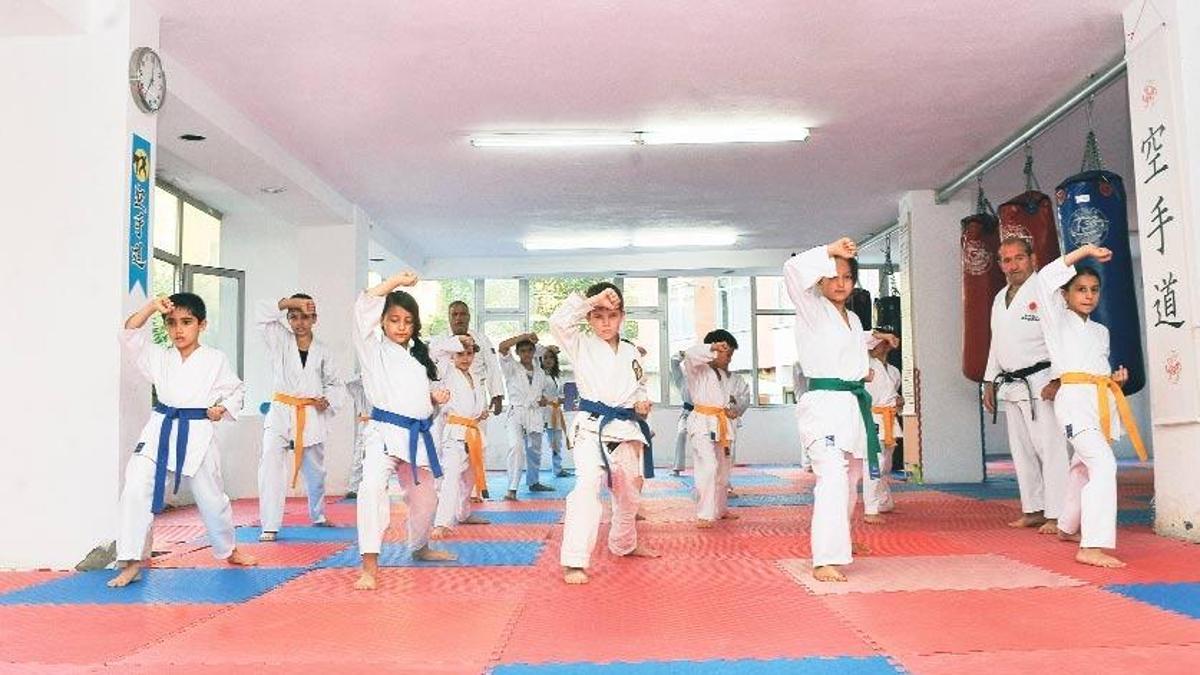 “Sensei” Bonzai’ye karşı