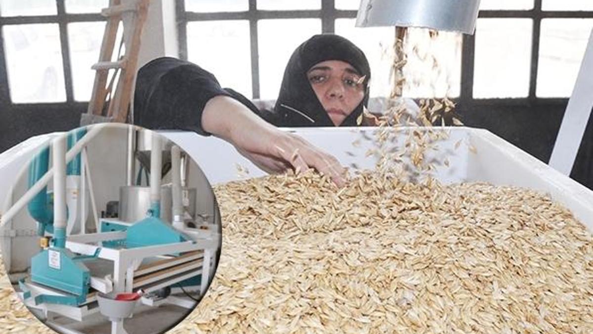 Kilosu 13 lira! Her yerden sipariş yağıyor, duyunca hemen üretime başladı...