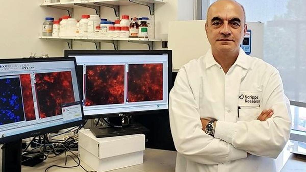 Covid-19'un 'hızlanmış Alzheimer' etkisine karşı tedavi geliştirecek