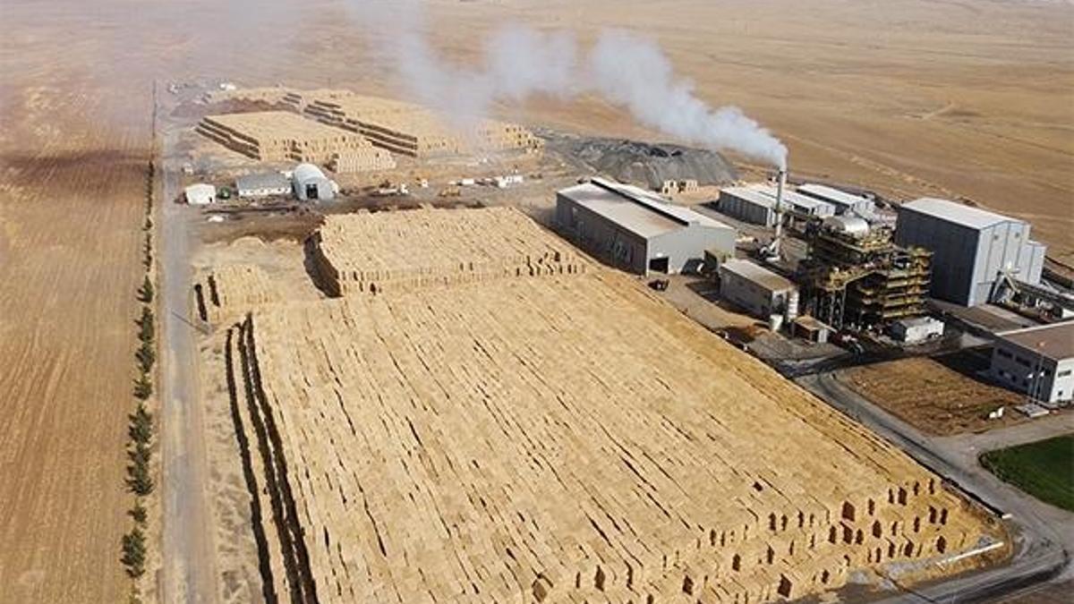 Consus Enerji halka arz için SPK'ya başvurdu!