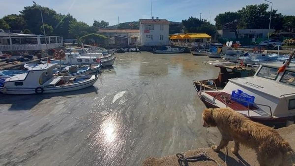 İstanbul'da yağış sonrası trafik yoğunluğu yüzde 72 oldu!