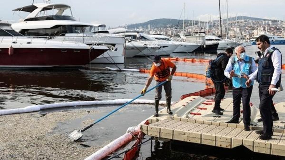 Bakan Kurum'dan temizlik açıklaması! Marmara'da nerelerde yüzülebilecek?