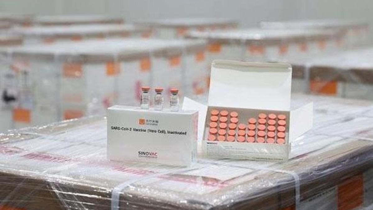 5 milyon doz Sinovac aşısı Türkiye'de
