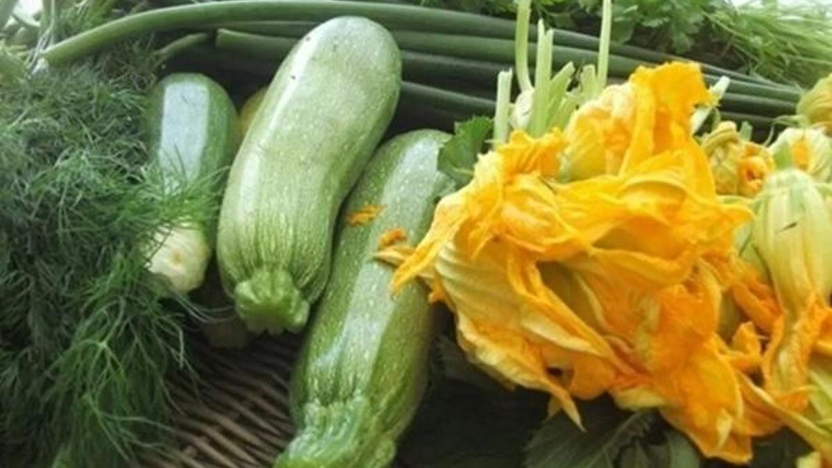 3 günde 3 kilo kabak diyeti ile detoks yaparak kilo verin!