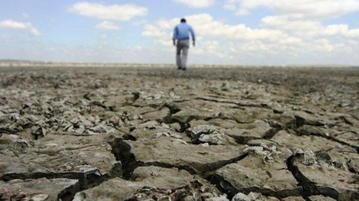Kuraklık desteği ne kadar, ne zaman ödenecek? Kuraklık desteği nasıl alınır, başvuru gerekiyor mu?