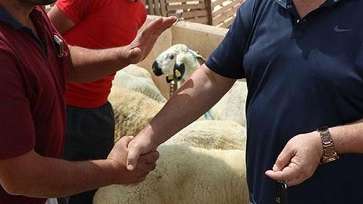 Kurban pazarlarında yeni dönem!