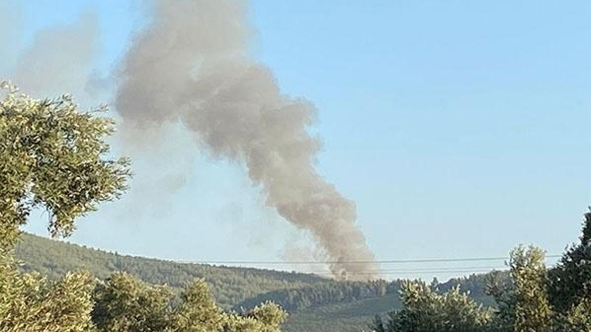 Muğla'da korkutan orman yangını! Makilik alana da sıçradı!