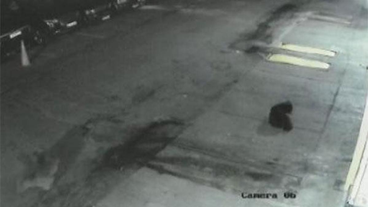 Sarıyer'de vahşet! Kameralara böyle yansıdı
