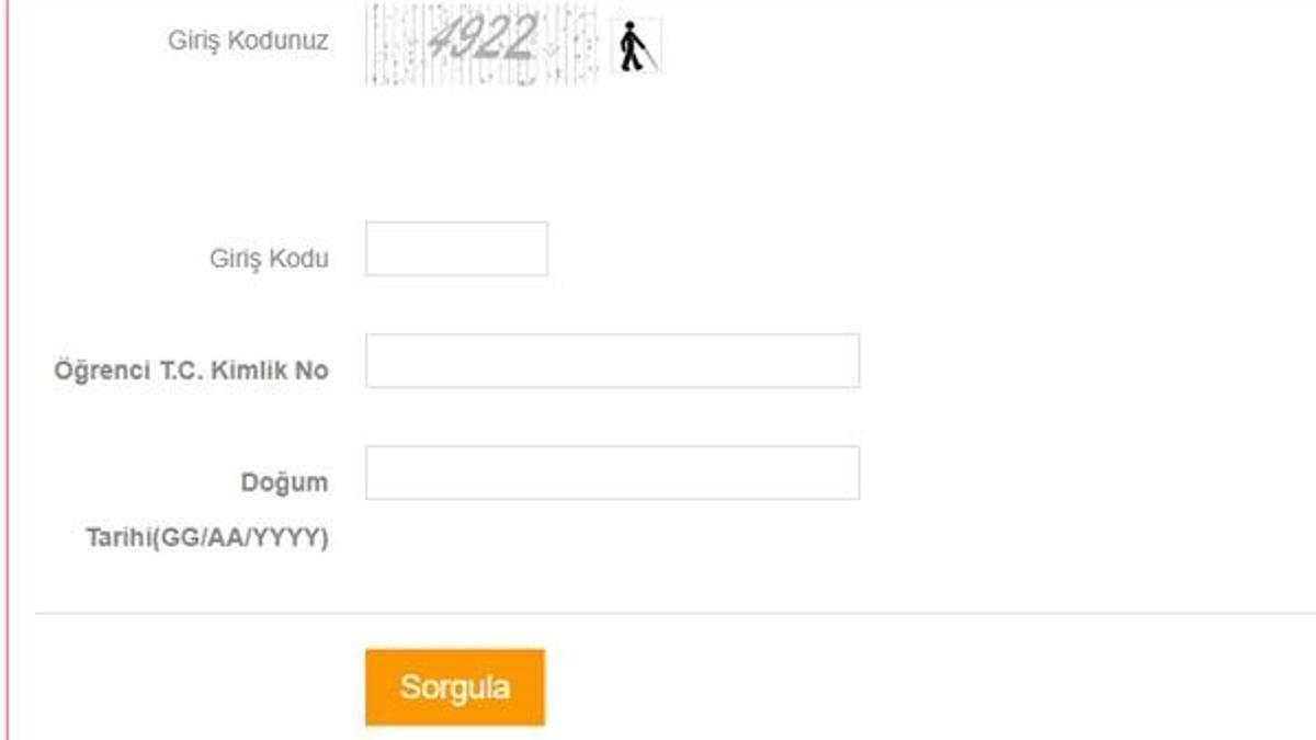Hangi lise kaç puan? E-okul LGS puanı öğrenme! Fen, Sosyal Bilimler, Anadolu, Meslek ve İmamhatip tercih listeleri