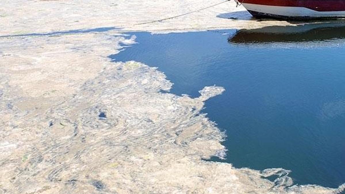 Sevindiren gelişme! Müsilaj büyük oranda temizlendi