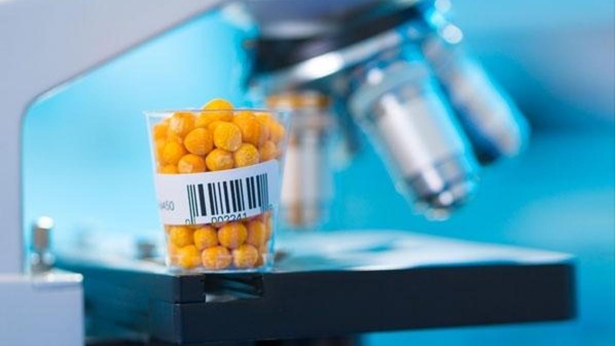 DNA Barkodlama yöntemiyle bitkilere kimlik veriliyor