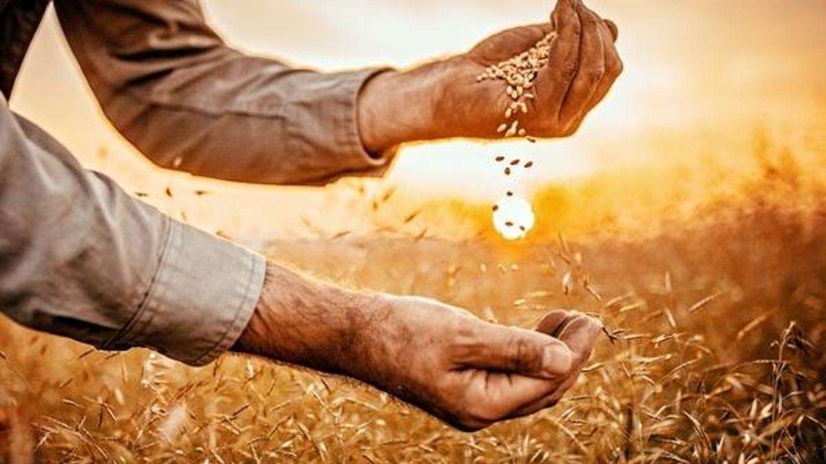 Uzmanlar uyardı! Salgından ve müsilajdan daha tehlikeli