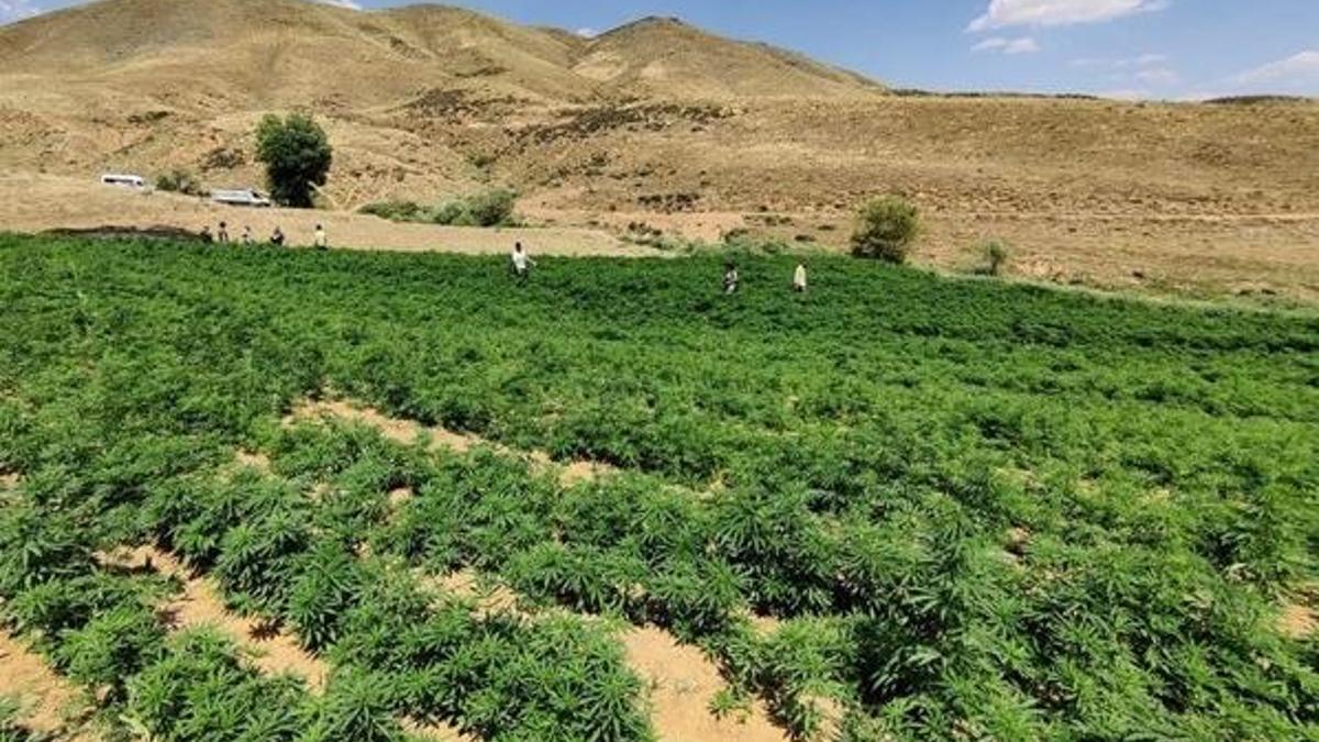 PKK’nın finans kaynağına büyük operasyon