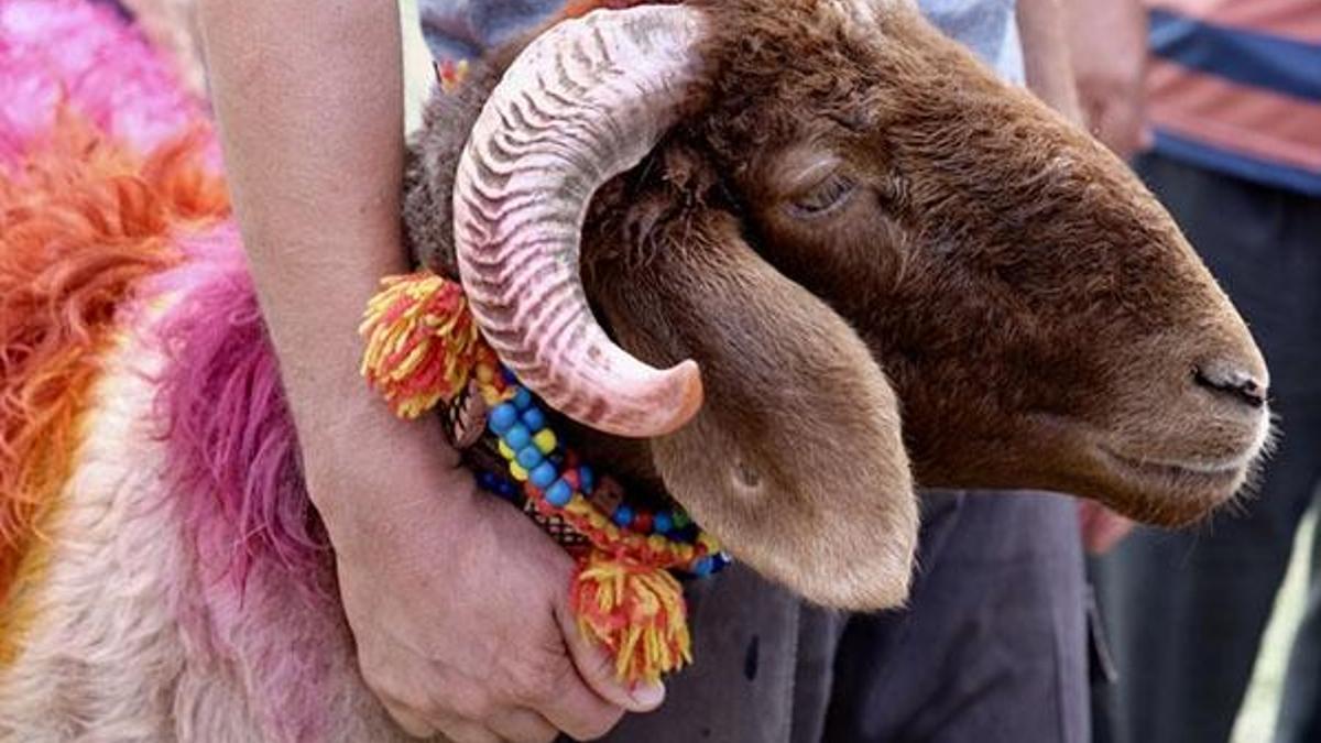 Kurban Bayramı'nda yasak olacak mı? Bayramda sokağa çıkma yasağı var mı?