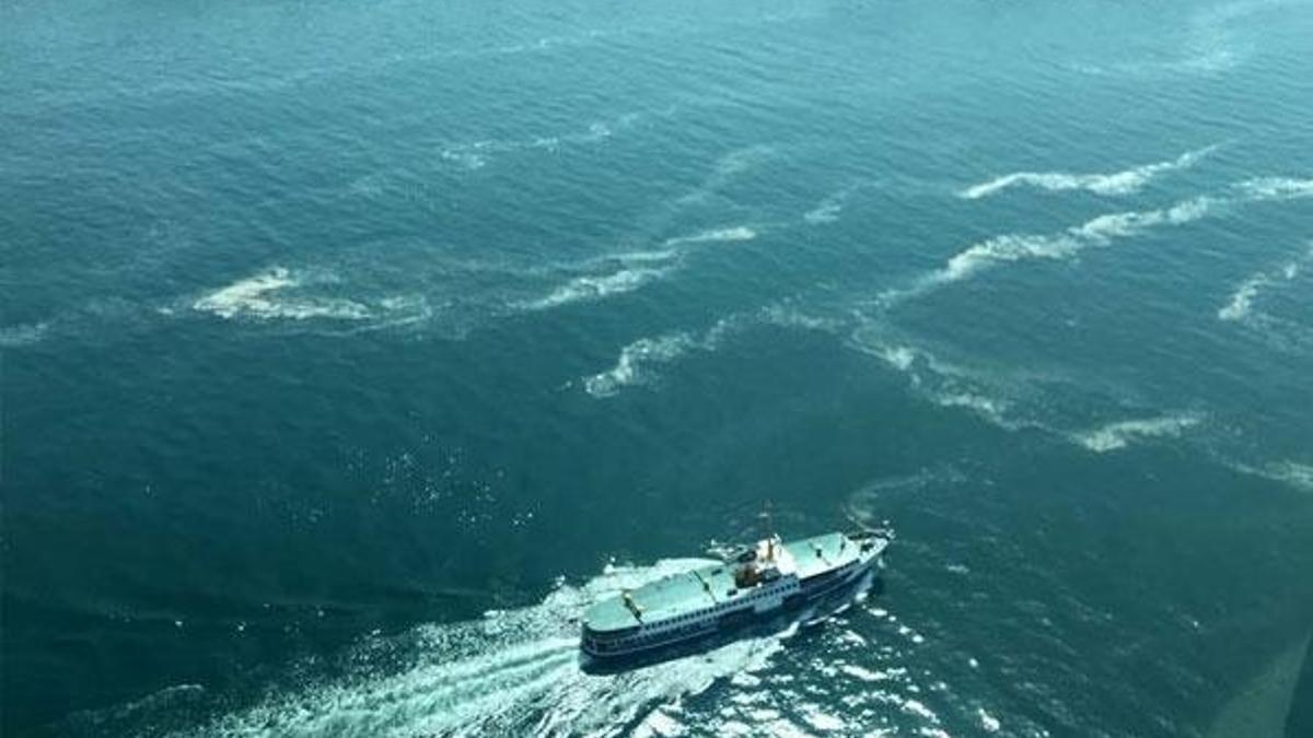 Marmara Denizi'nden çıkan balık yenir mi? Bakan Pakdemirli açıkladı