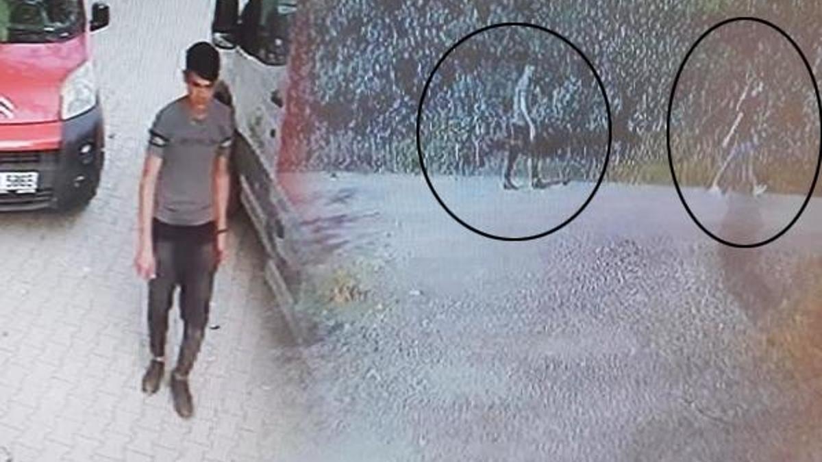 Genç kıza cinsel istismara kalkışıp, başına taşla vurdu! Sonra da...