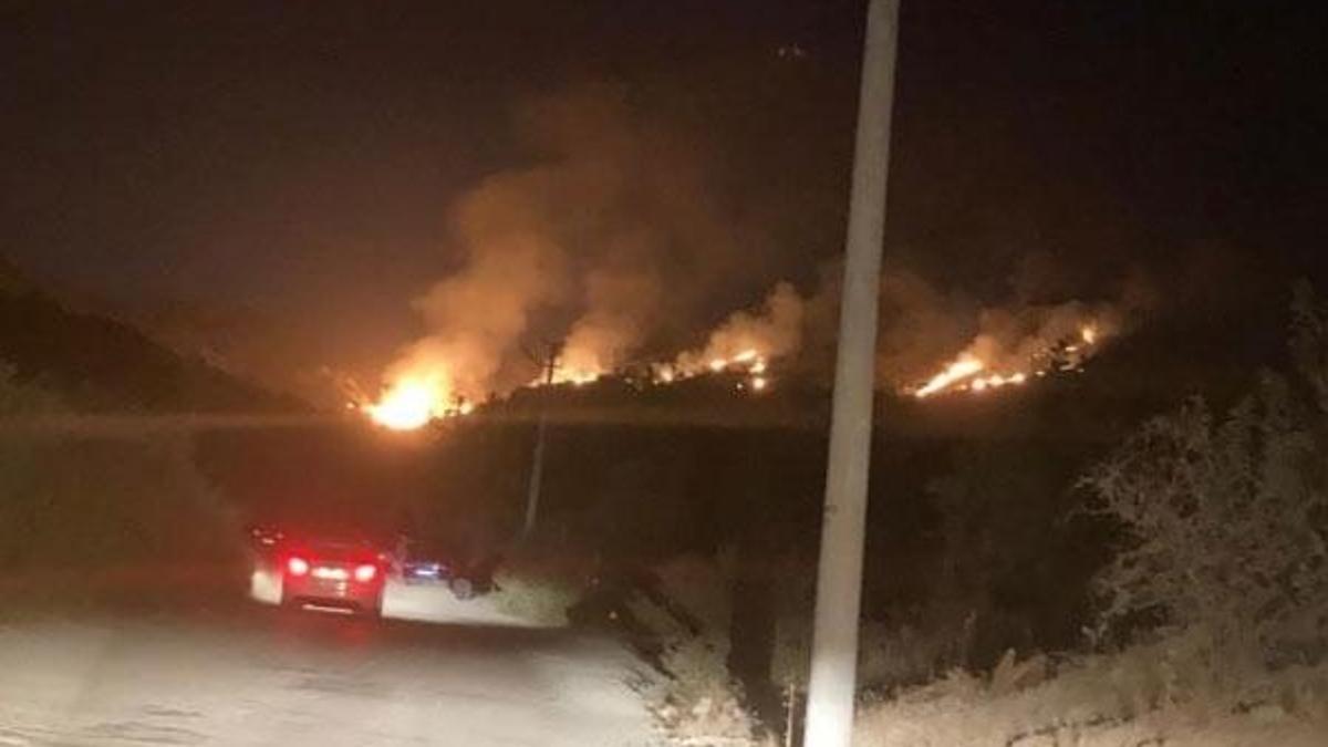 Bodrum'da makilik ve otluk alanda yangın