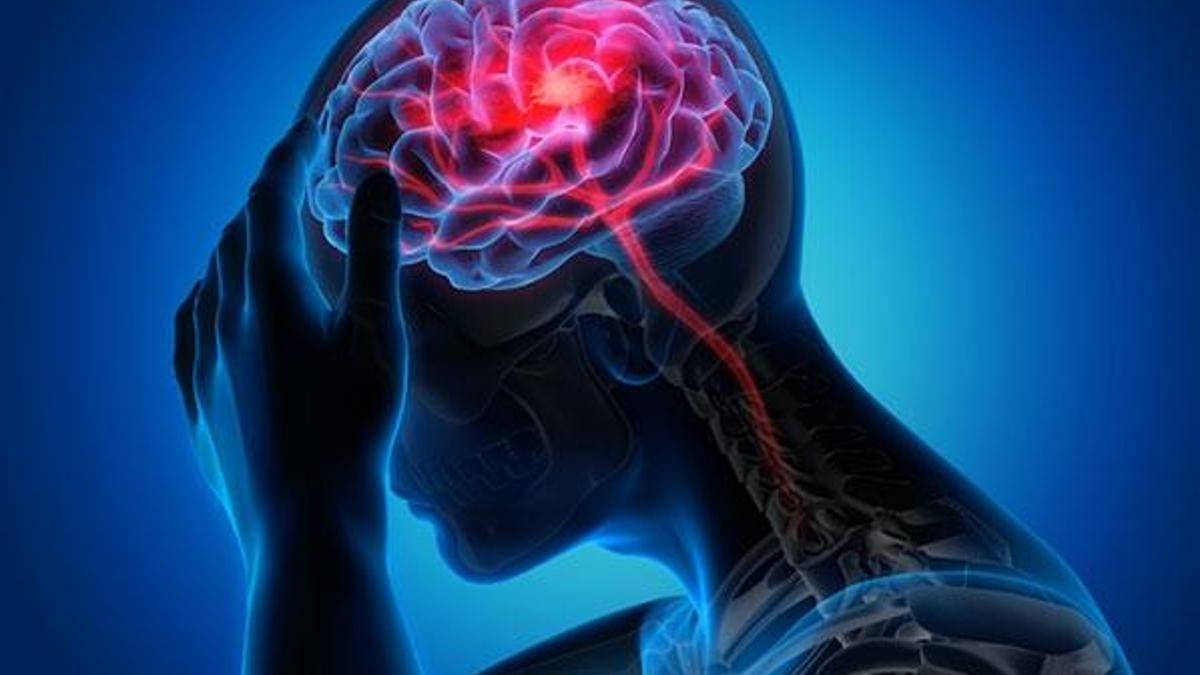 Bilim insanları sonunda başardı