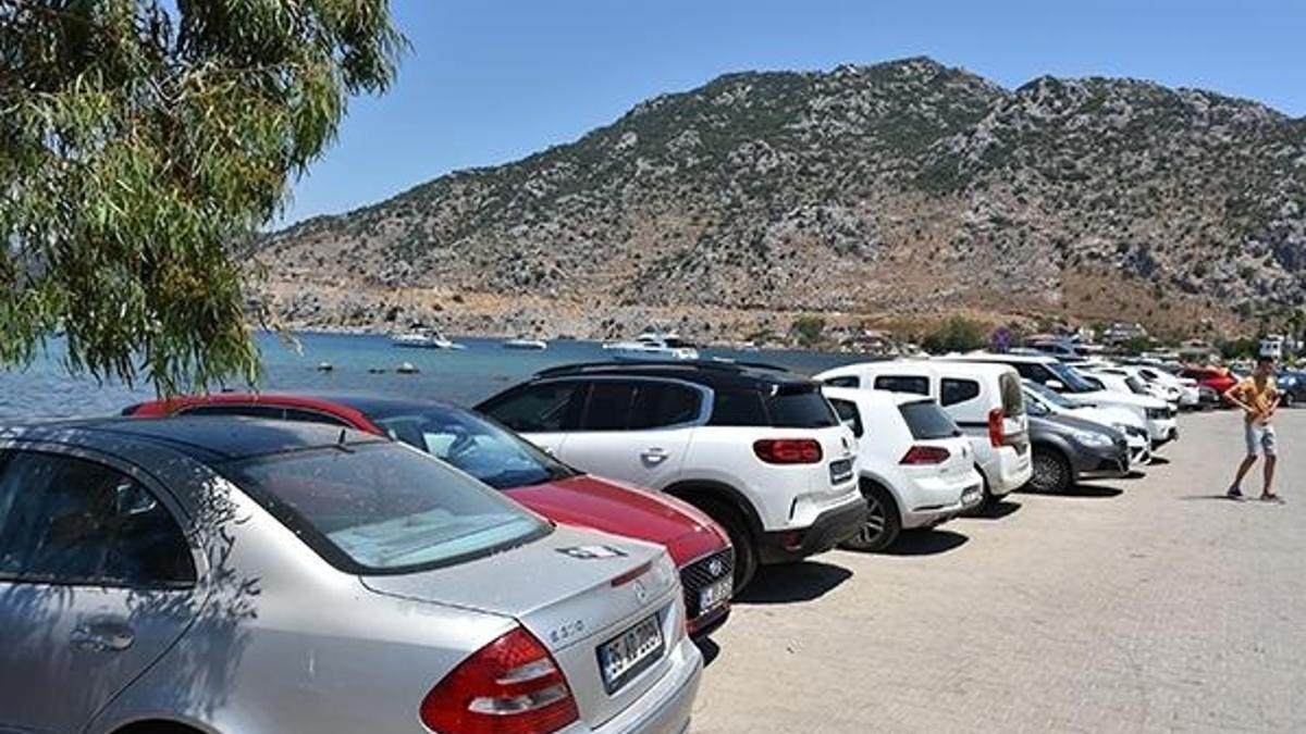 Yüzde 100 doldu! Nüfus 10 kat arttı, fiyatlar 2500 liraya kadar çıktı