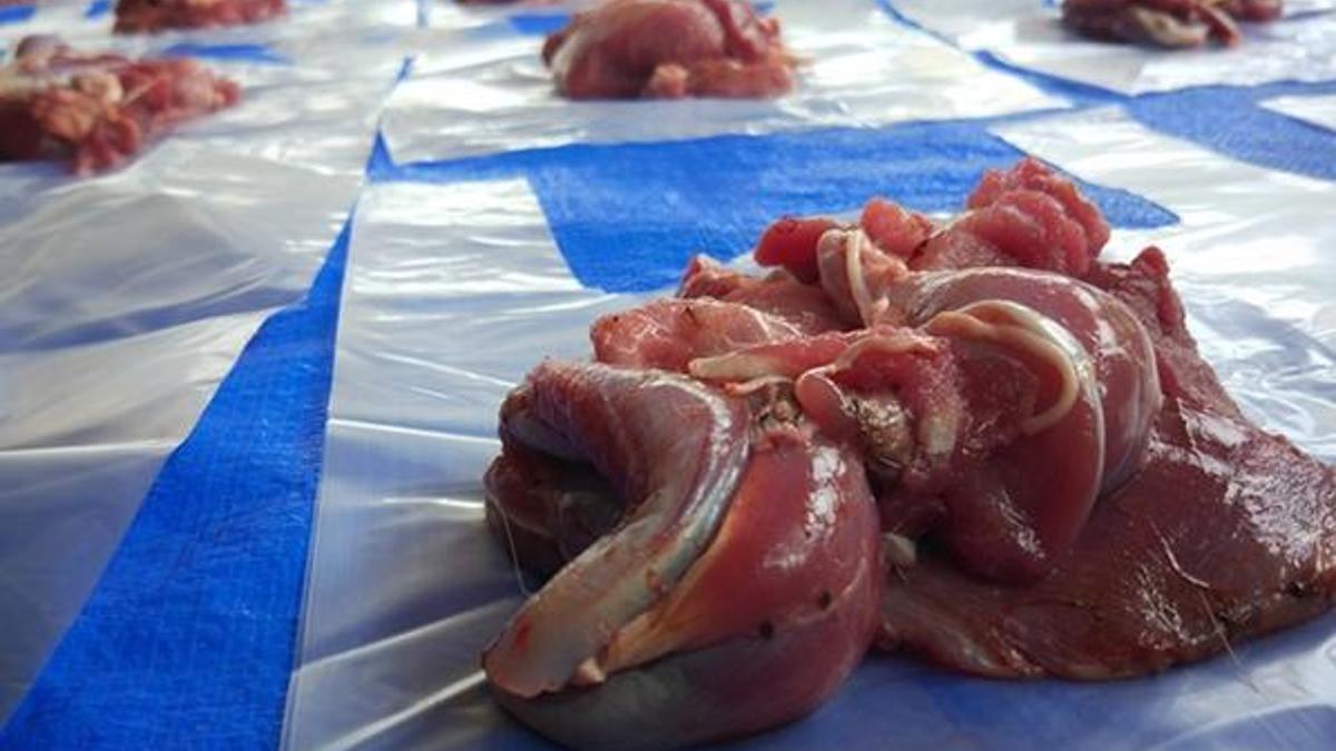 Kurban etinin dağıtımı nasıl olmalı? Kurban eti kimlere verilir?