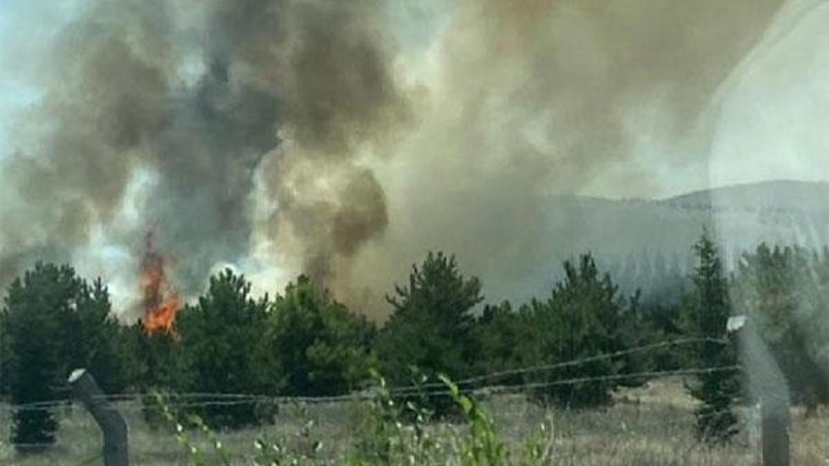 Ankara'da, Atatürk Orman Çiftliği arazisinde yangın!