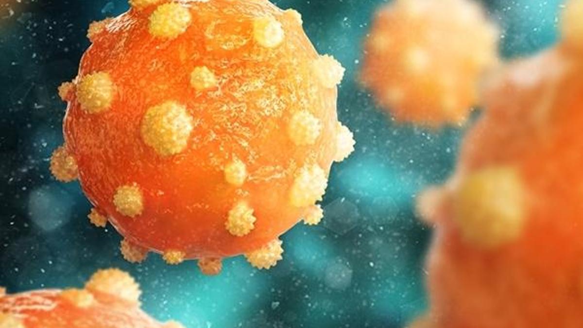 Kronik hepatit hastalarına düzenli tarama uyarısı