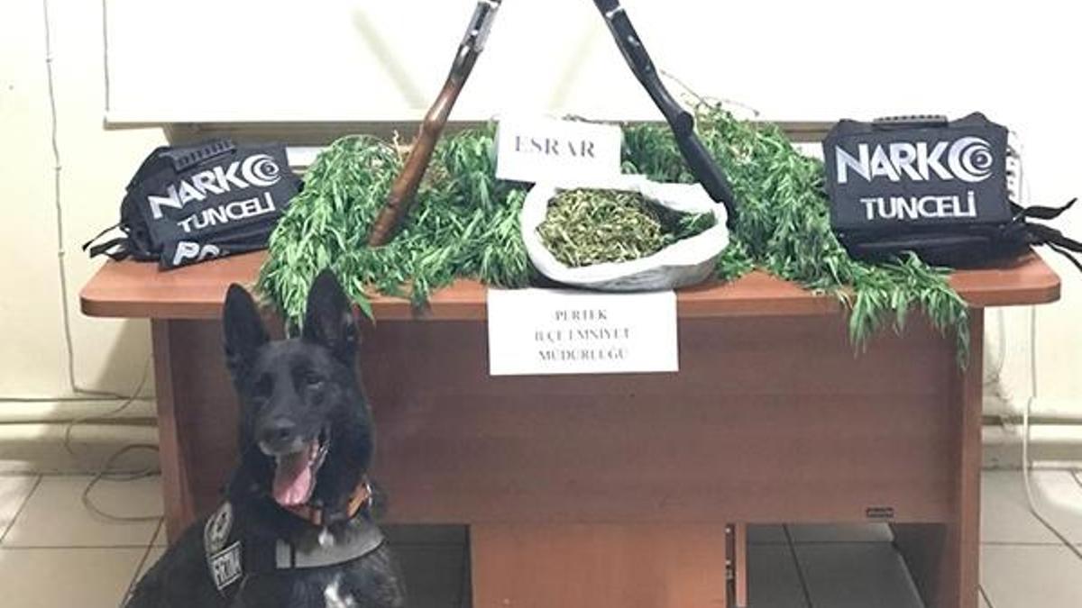 Tunceli'de uyuşturucu operasyonu: 2 gözaltı