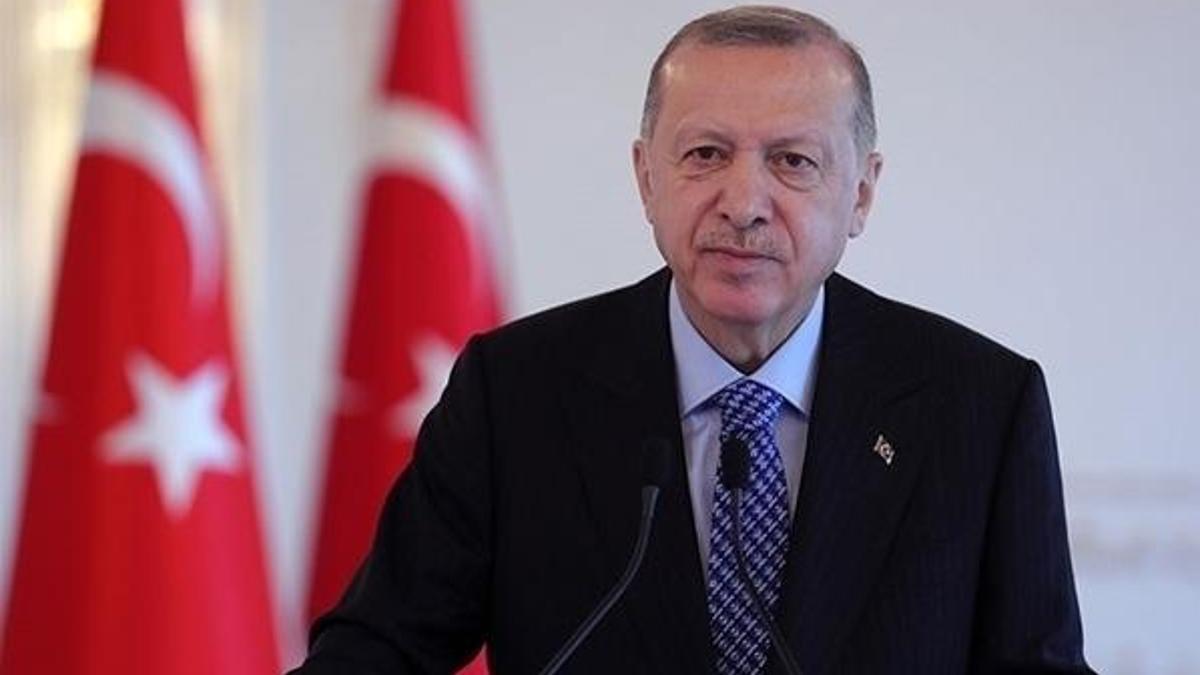 Cumhurbaşkanı Erdoğan, Cezayir Cumhurbaşkanı ile görüştü