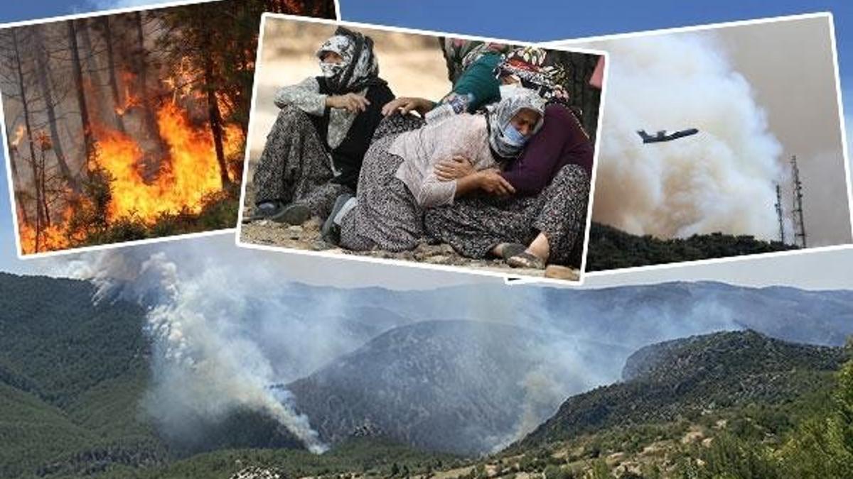 Yangınlarla ilgili son dakika gelişmesi! O detay ortaya çıktı, tamamen...