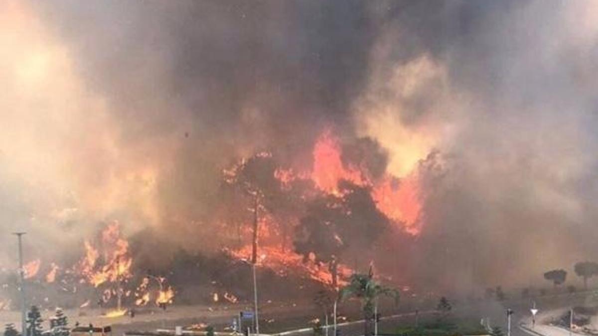 Nerelerde yangın var? Yangın nerelerde devam ediyor, hangi illerde? Türkiye'deki yangınlarda son durum! Adana, Antalya, Muğla, İzmir…