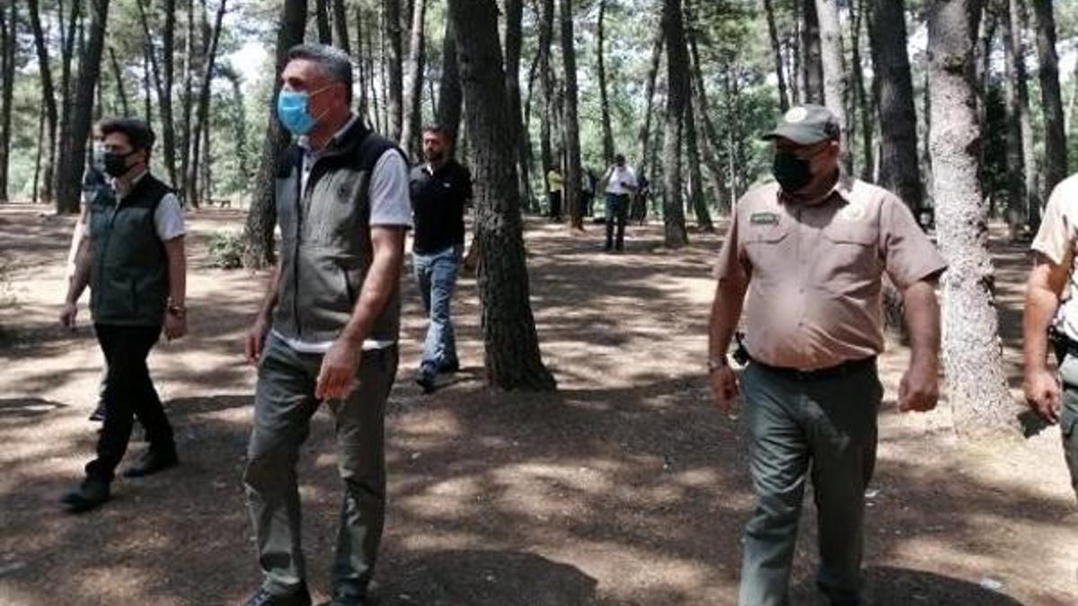 İstanbul Orman Bölge Müdürü'nden yasaklarla ilgili açıklama